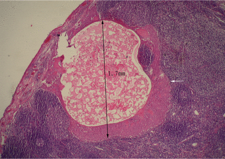 Fig.7.