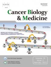Cancer Biology & Medicine: 19 (2)