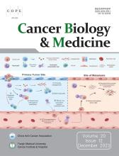 Cancer Biology & Medicine: 20 (12)